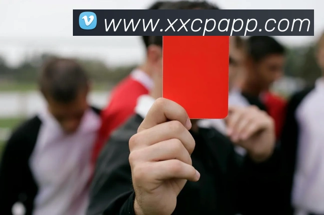 大发彩票官方网站APP 高清赛事图
